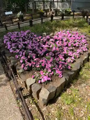 川越八幡宮(埼玉県)