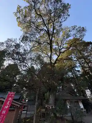 都農神社(宮崎県)