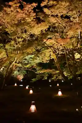 宝厳院(京都府)