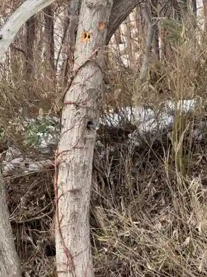 琴平神社(北海道)