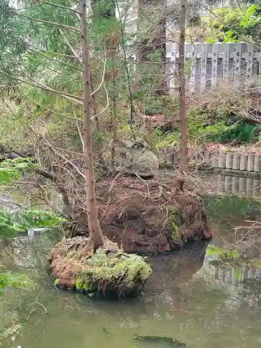 鶴若稲荷神社の{uncategorized: "未分類", other: "その他", undefined: "問題あり", building: "その他建物", grave: "お墓", sacred_gate: "鳥居", guardian: "狛犬", statue: "像", buddha: "仏像", history: "歴史", nature: "自然", garden: "庭園", animal: "動物", pagoda: "塔", temizu: "手水舎", mountain_gate: "山門・神門", sanctuary: "本殿・本堂", subordinate: "末社・摂社", art: "芸術", scenery: "景色", jizo: "地蔵", ema: "絵馬", goshuin: "御朱印", omikuji: "おみくじ", items: "授与品その他", amulet: "お守り", goshuincho: "御朱印帳", eats: "食事", festival: "お祭り", votive_dance: "神楽", shichigosan: "七五三参", wedding: "結婚式", experience: "体験その他", initially: "初詣", around: "周辺", anti_infection: "感染症対策"}