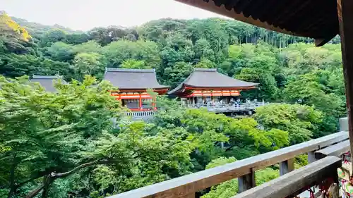 清水寺(京都府)