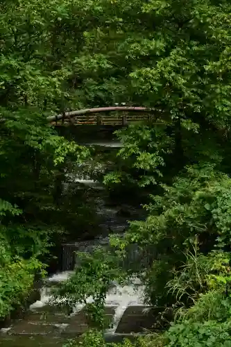 高龍神社(新潟県)