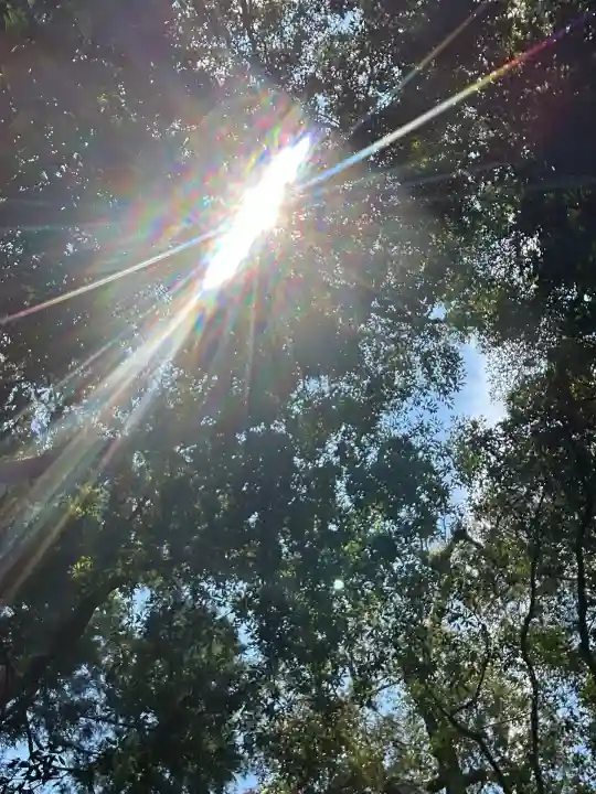 伊勢神宮内宮(皇大神宮)(三重県)