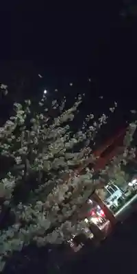 平野神社(京都府)