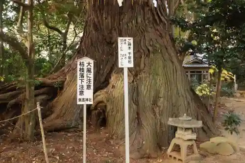 側高神社(千葉県)