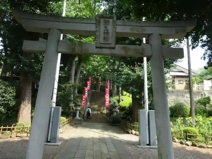 弥生神社の鳥居