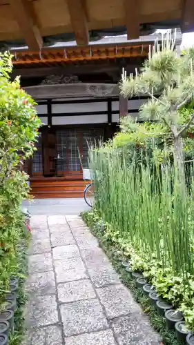 南渓寺の{uncategorized: "未分類", other: "その他", undefined: "問題あり", building: "その他建物", grave: "お墓", sacred_gate: "鳥居", guardian: "狛犬", statue: "像", buddha: "仏像", history: "歴史", nature: "自然", garden: "庭園", animal: "動物", pagoda: "塔", temizu: "手水舎", mountain_gate: "山門・神門", sanctuary: "本殿・本堂", subordinate: "末社・摂社", art: "芸術", scenery: "景色", jizo: "地蔵", ema: "絵馬", goshuin: "御朱印", omikuji: "おみくじ", items: "授与品その他", amulet: "お守り", goshuincho: "御朱印帳", eats: "食事", festival: "お祭り", votive_dance: "神楽", shichigosan: "七五三参", wedding: "結婚式", experience: "体験その他", initially: "初詣", around: "周辺", anti_infection: "感染症対策"}