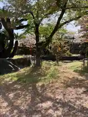 宝蔵寺の自然