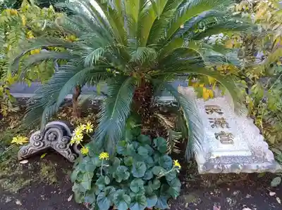 成子天神社(東京都)