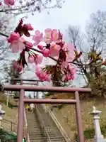 厚別神社(北海道)