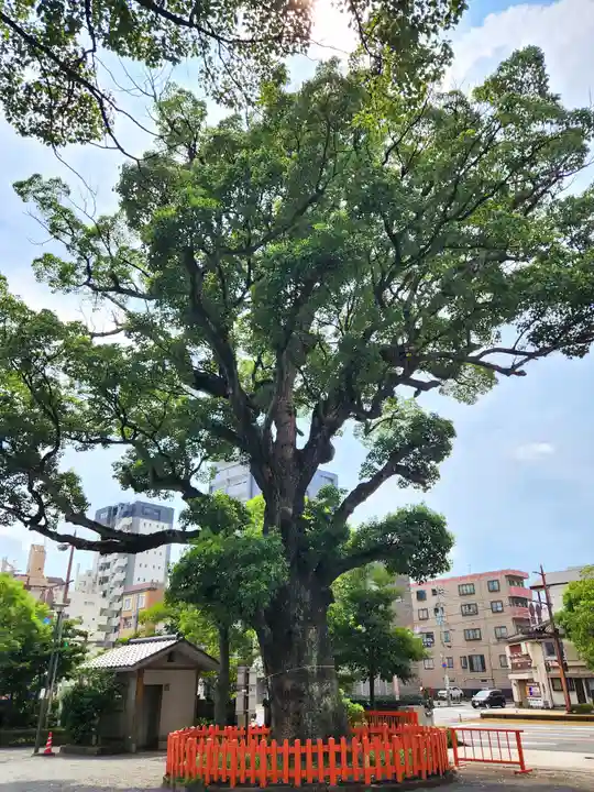 荒田八幡宮(鹿児島県)