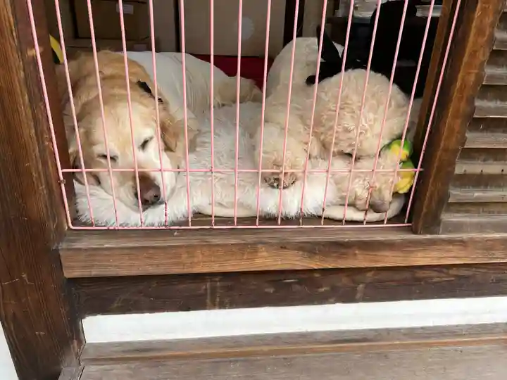 霊鑑寺門跡(京都府)