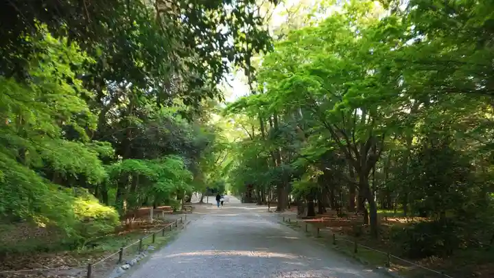 賀茂御祖神社(下鴨神社)の自然