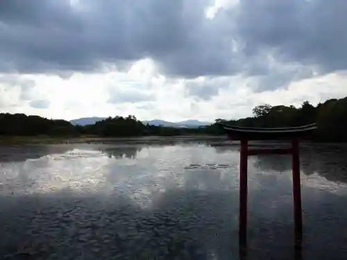 薦神社の景色