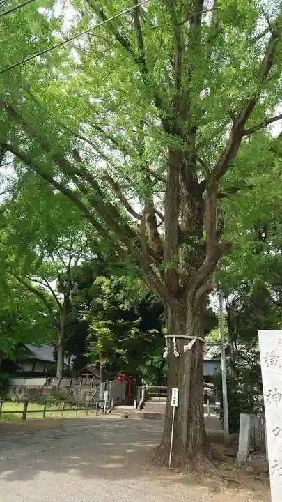 桐生天満宮(群馬県)