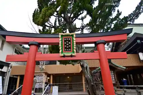 白山神社の鳥居