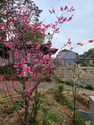 岡田神社(福岡県)