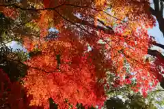 國祖神社(福島県)