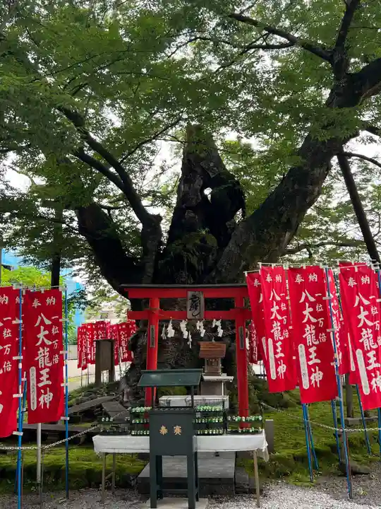 秩父今宮神社(埼玉県)