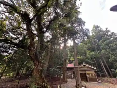 六社神社(福井県)