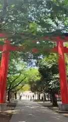 花園神社の鳥居