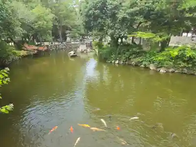 伊弉諾神宮(兵庫県)