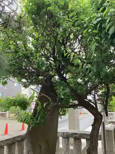 嚴島神社の自然