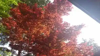 下野國一社八幡宮(栃木県)