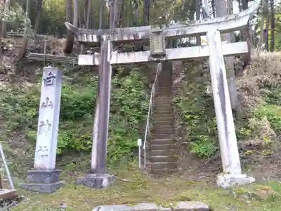 白山神社(福井県)