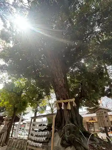 豊川進雄神社(愛知県)