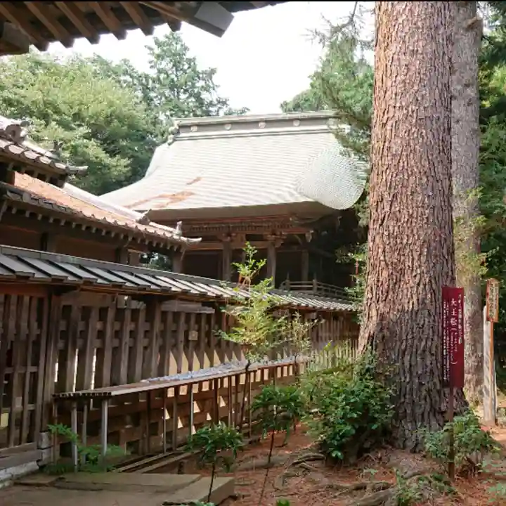大宝八幡宮の本殿・本堂