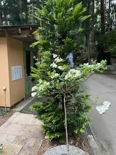 国上寺(新潟県)