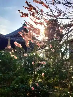 圓照寺(東京都)