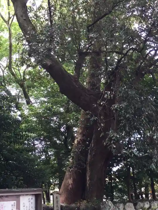 志等美神社(豊受大神宮摂社)の自然