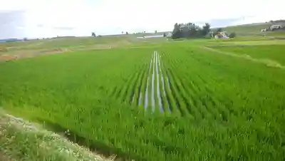 忠栄金刀比羅神社の周辺