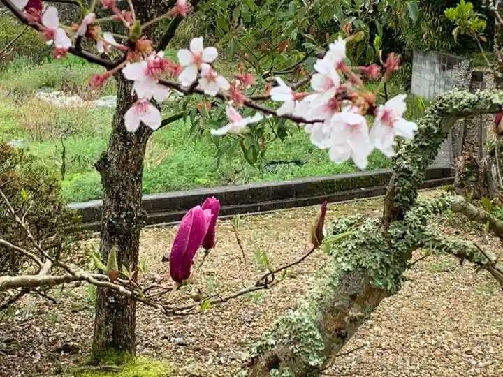 市原豊歳神社の自然