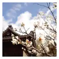 岐阜稲荷山本社の自然