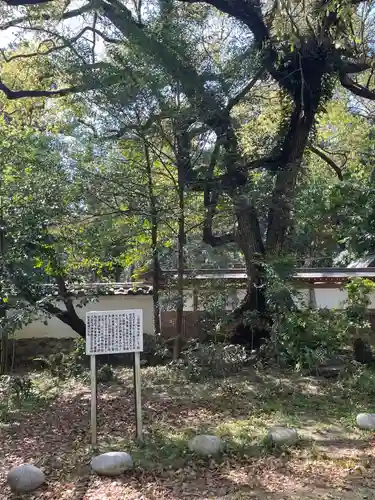 賀茂神社の自然