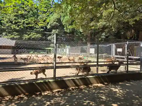 鹿島神宮(茨城県)