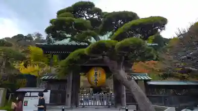 長谷寺(神奈川県)