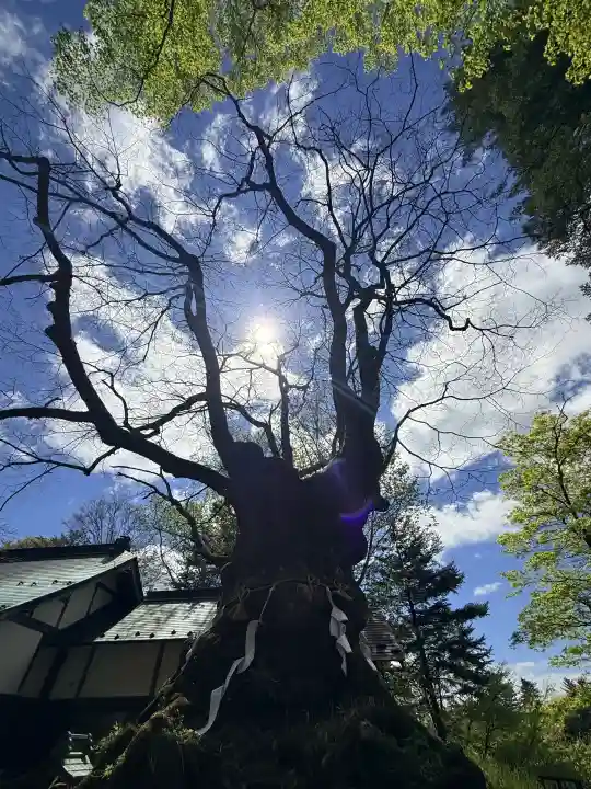 熊野皇大神社の{uncategorized: "未分類", other: "その他", undefined: "問題あり", building: "その他建物", grave: "お墓", sacred_gate: "鳥居", guardian: "狛犬", statue: "像", buddha: "仏像", history: "歴史", nature: "自然", garden: "庭園", animal: "動物", pagoda: "塔", temizu: "手水舎", mountain_gate: "山門・神門", sanctuary: "本殿・本堂", subordinate: "末社・摂社", art: "芸術", scenery: "景色", jizo: "地蔵", ema: "絵馬", goshuin: "御朱印", omikuji: "おみくじ", items: "授与品その他", amulet: "お守り", goshuincho: "御朱印帳", eats: "食事", festival: "お祭り", votive_dance: "神楽", shichigosan: "七五三参", wedding: "結婚式", experience: "体験その他", initially: "初詣", around: "周辺", anti_infection: "感染症対策"}