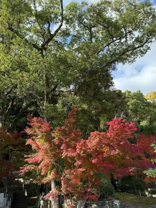 伊勢の国 四天王寺(三重県)