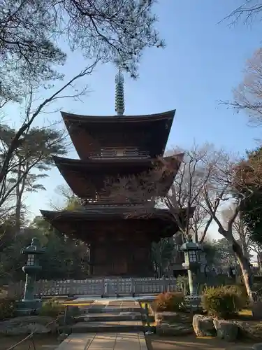 豪徳寺のその他建物