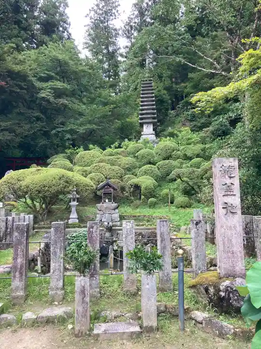 岡寺(龍蓋寺)(奈良県)