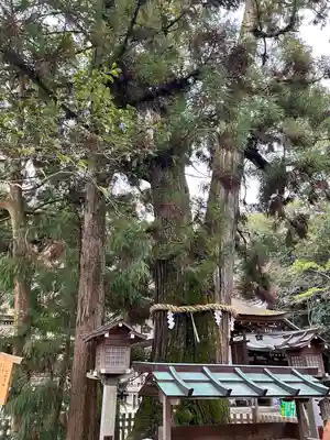 大神神社(奈良県)