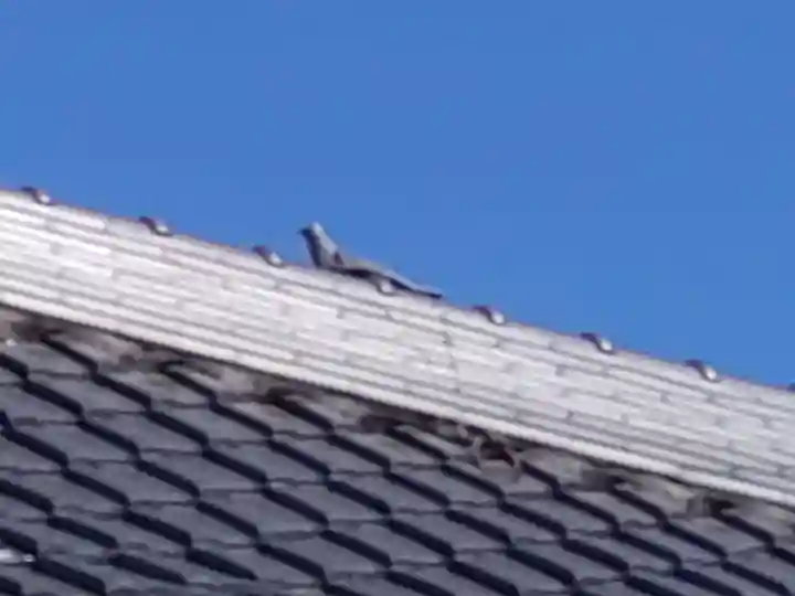 西光寺(山梨県)