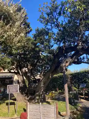 慈眼寺(神奈川県)