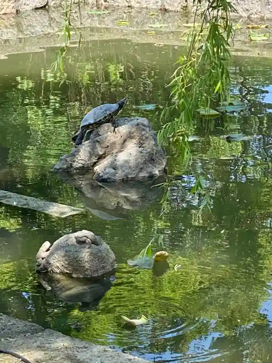 東寺(教王護国寺)(京都府)