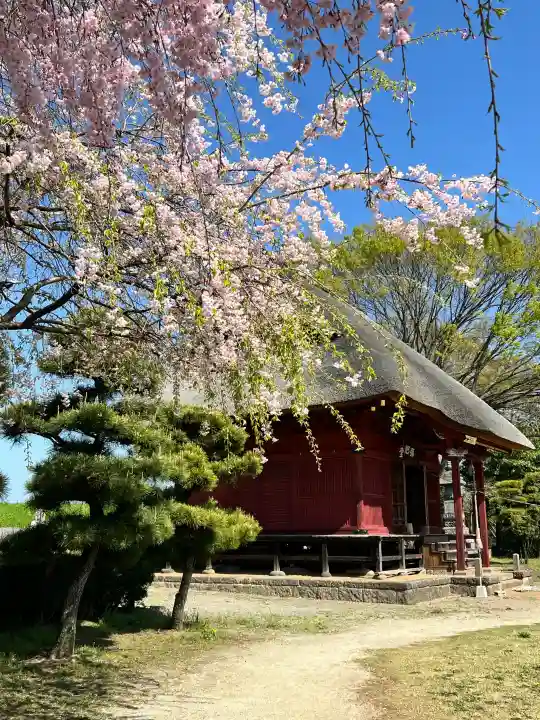 常楽寺(群馬県)